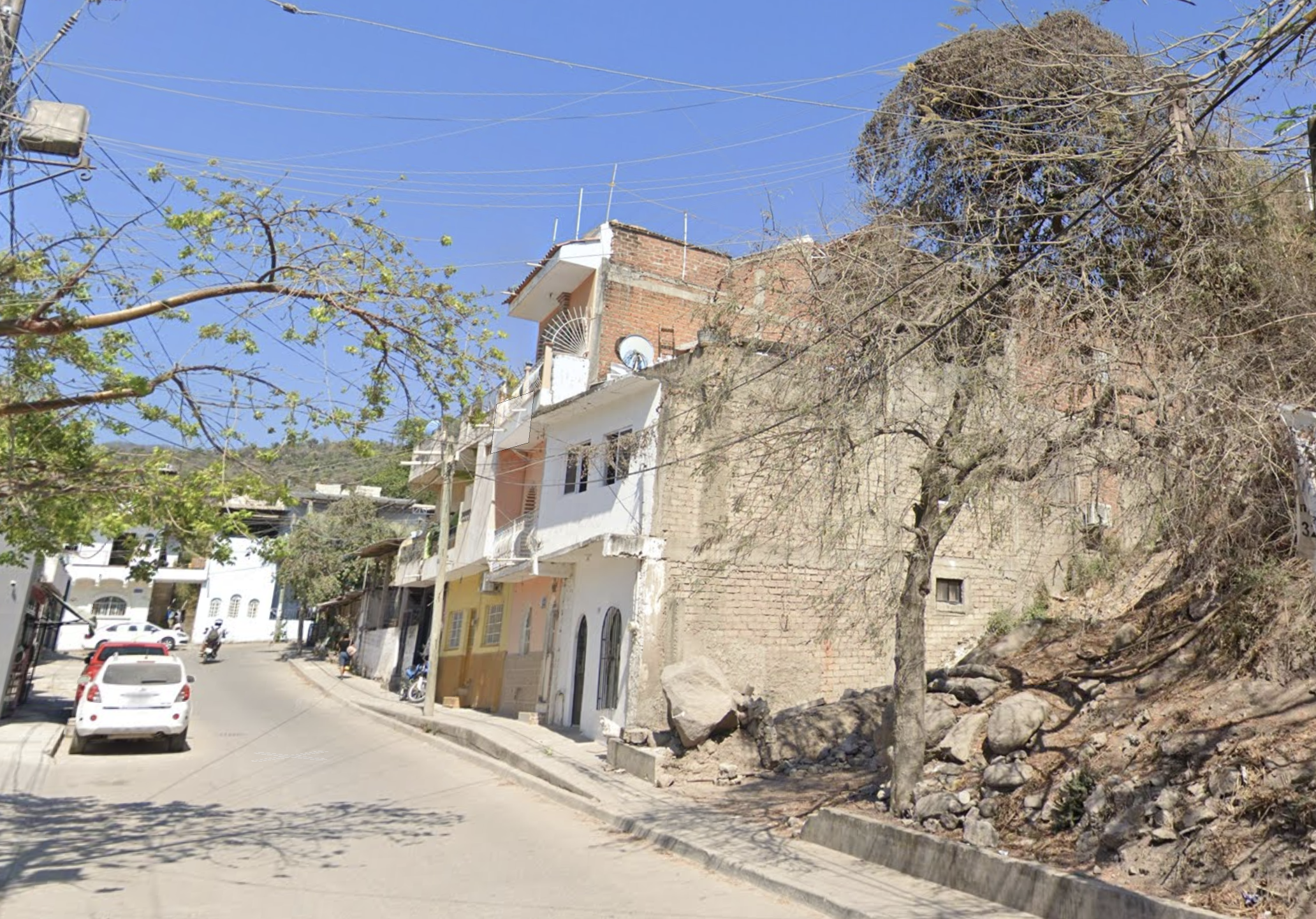Buganvilias